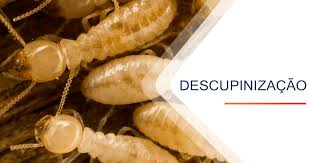 Descupinizadora em São Paulo - SP